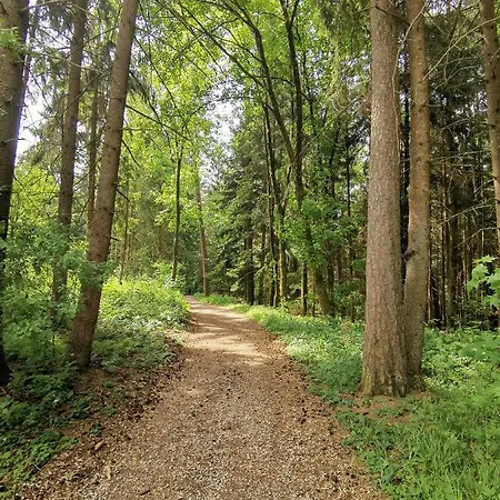 Echt Zeit Appartement Bad Dürrheim
