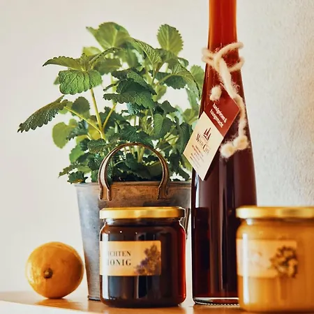 Echt Zeit Appartement Bad Dürrheim