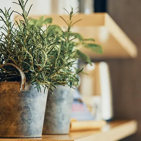 Echt Zeit Appartement