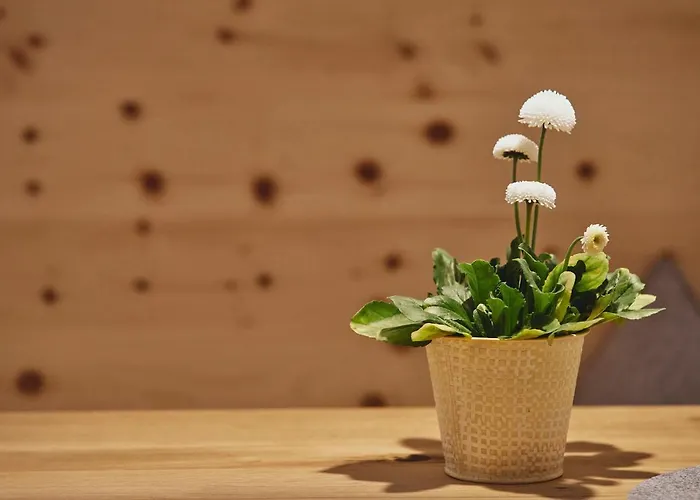 Διαμέρισμα Echt Zeit Bad Dürrheim