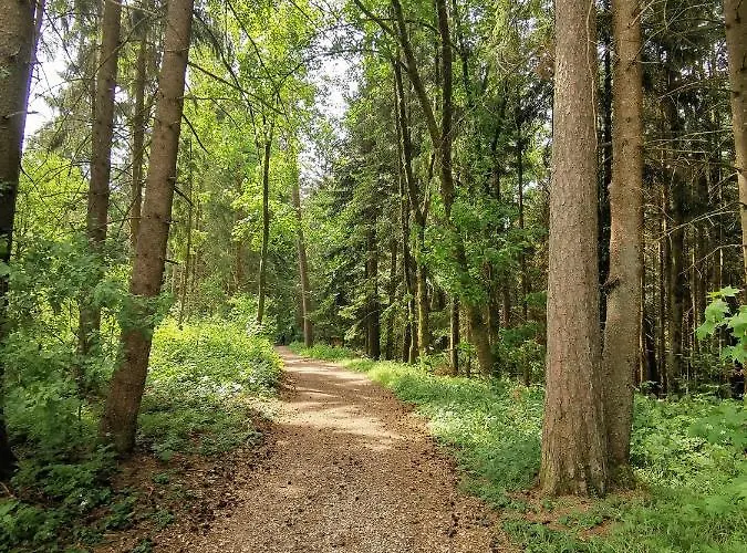 Echt Zeit Διαμέρισμα Bad Dürrheim