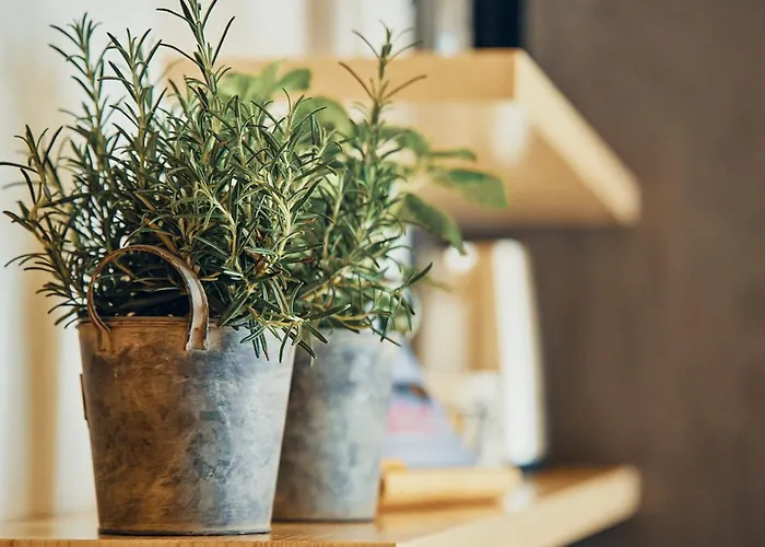 Echt Zeit Διαμέρισμα